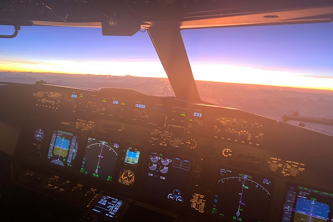 Flight simulator training